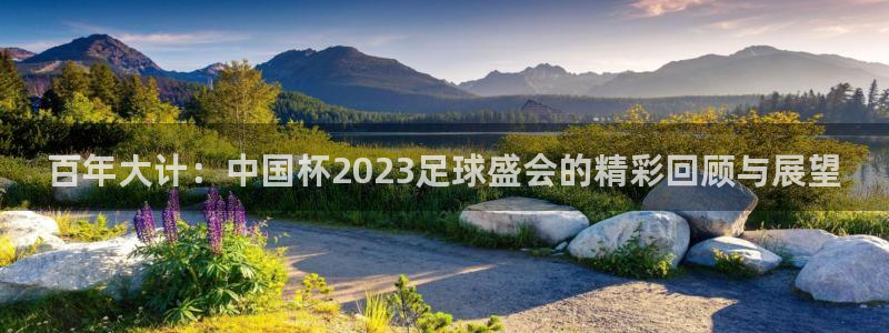 亚洲区世界杯预选赛：百年大计：中国杯2023足球盛会的精彩回顾与展望
