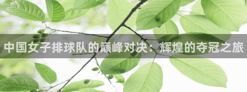 2026葡萄牙杯赛程表：中国女子排球队的巅峰对决：辉煌的夺冠之旅