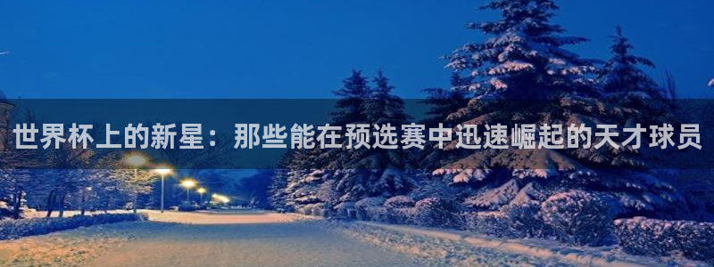 美国世界杯：世界杯上的新星：那些能在预选赛中迅速崛起的天才球员
