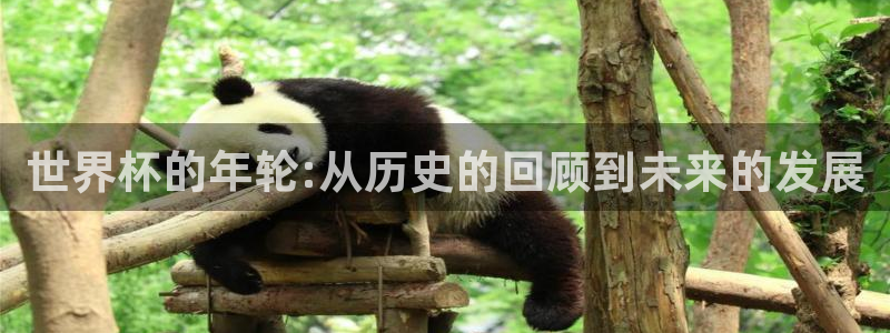 欧联杯直播：世界杯的年轮:从历史的回顾到未来的发展