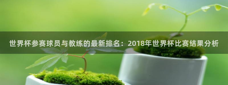 世界杯在线直播入口：世界杯参赛球员与教练的最新排名：2018年世界杯比赛结果分析