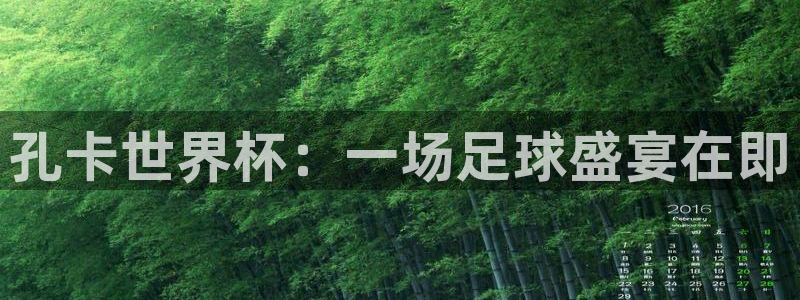 2026葡萄牙杯赛程表：孔卡世界杯：一场足球盛宴在即