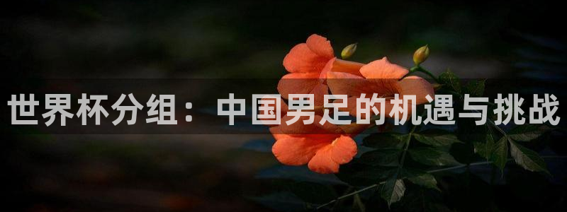 世界杯预选赛：世界杯分组：中国男足的机遇与挑战