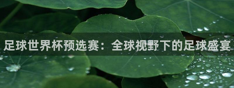 免费看足球直播比赛：足球世界杯预选赛：全球视野下的足球盛宴