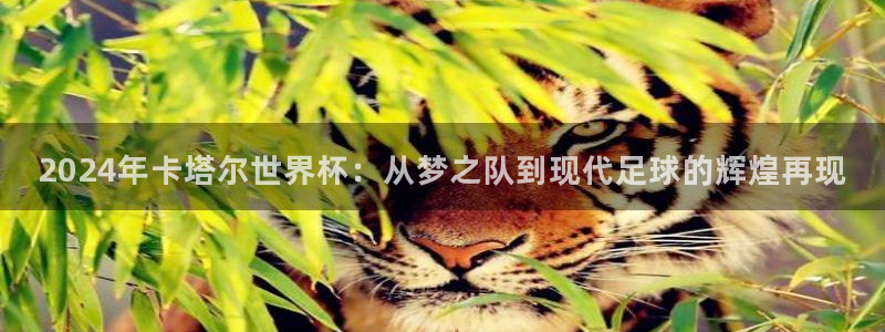 2026世亚预赛赛程表：2024年卡塔尔世界杯：从梦之队到现代足球的辉煌再现