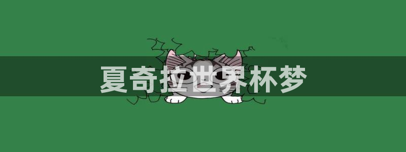 世界杯预选赛亚洲区积分榜：夏奇拉世界杯梦