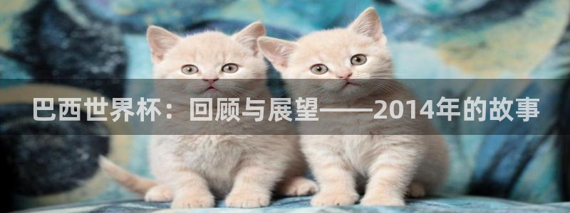 世界杯葡萄牙赛程：巴西世界杯：回顾与展望——2014年的故事