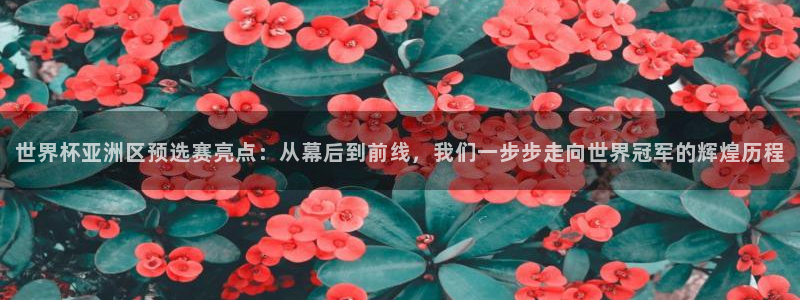 2026世界杯赛制：世界杯亚洲区预选赛亮点：从幕后到前线，我们一步步走向世界冠军的辉煌历程