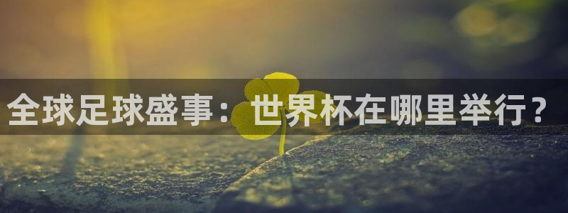 葡萄牙世界杯赛程：全球足球盛事：世界杯在哪里举行？