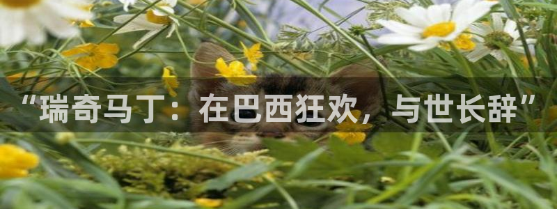 2026世界杯日期:“瑞奇马丁:在巴西狂欢,与世长辞”