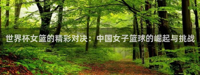 2026年世界杯：世界杯女篮的精彩对决：中国女子篮球的崛起与挑战